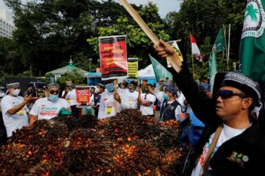 FILE PHOTO: Indonesian palm oil farmers protest demanding the government
