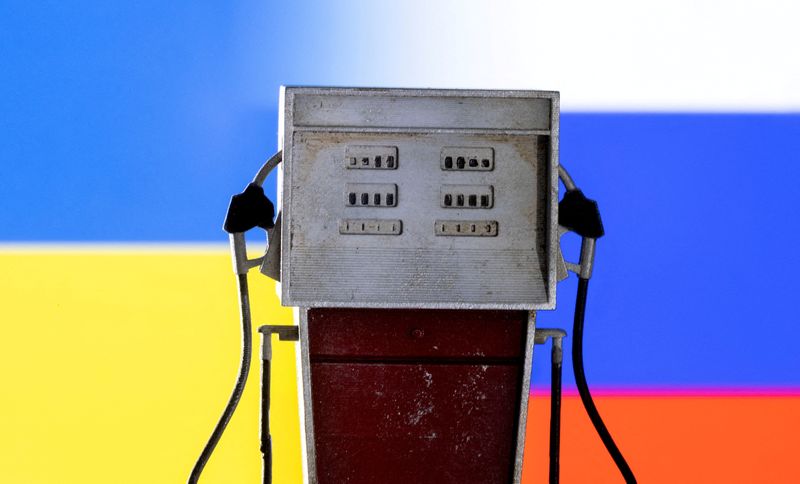 FILE PHOTO: Illustration shows model of petrol pump, Ukraine and