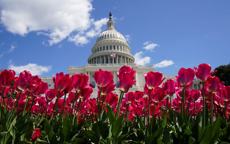 FILE PHOTO: Spring flowers bloom at the U.S. Capitol in