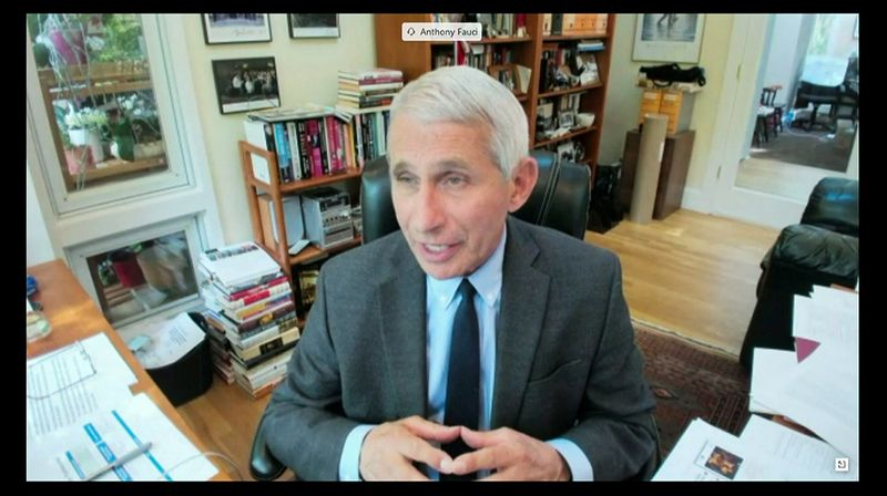 Dr Anthony Fauci testifies remotely to the Senate Committee for