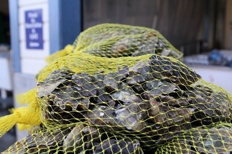California oyster growers press ahead despite uncertainty from novel coronavirus