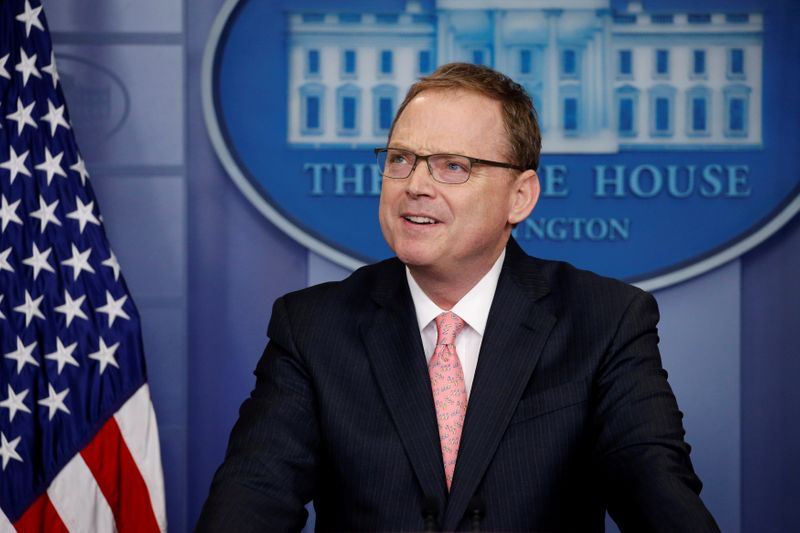 FILE PHOTO: Hassett addresses reporters during the daily briefing at
