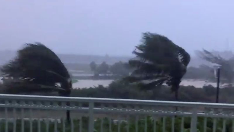 Trees are buffeted by strong winds as Hurricane Isaias hits