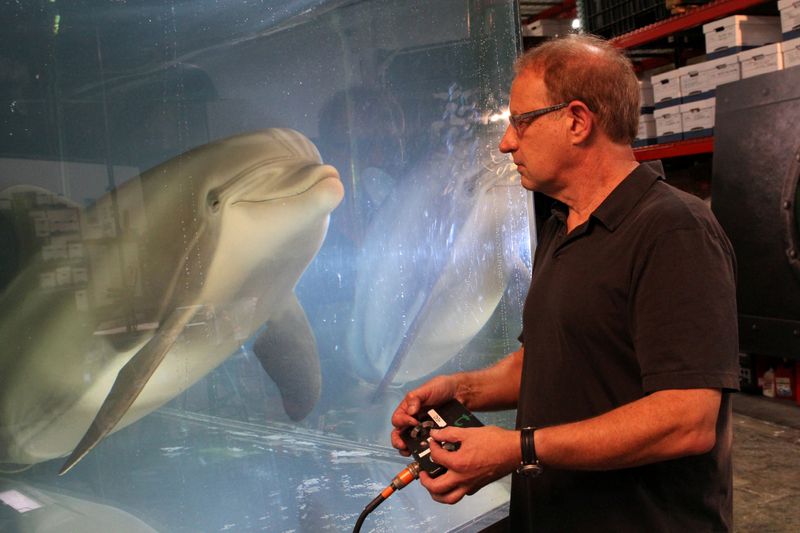 Robot dolphin could signal end of captive animals