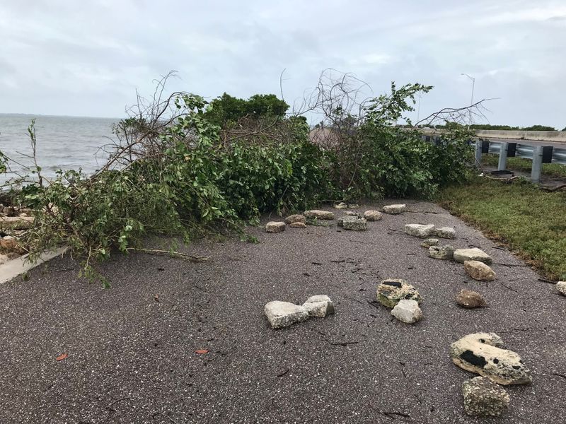 Aftermath of Tropical Storm Eta in Clearwater