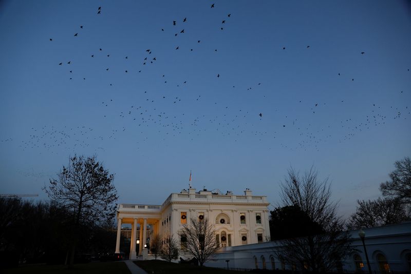 Birds fly over the White House at dusk in Washington