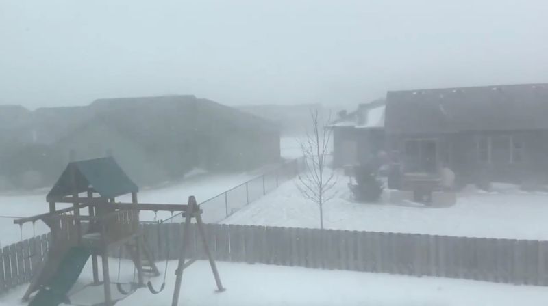 A blizzard is seen in the backyard of a property