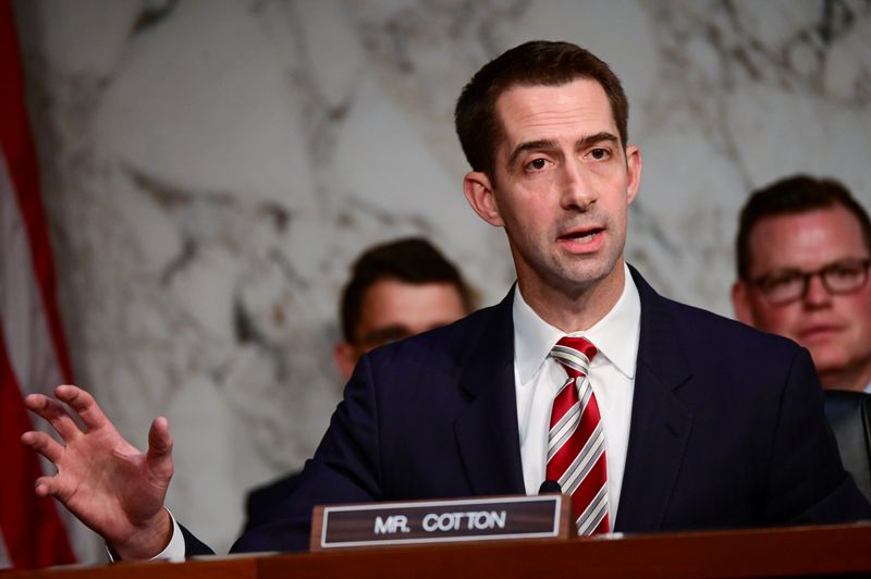 FILE PHOTO: Cotton speaks during Facebook digital currency hearing