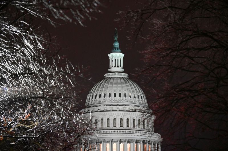 The U.S. Capitol is seen through ice-covered tree branches after