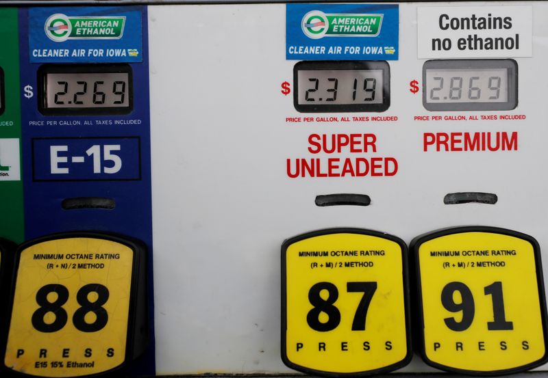 FILE PHOTO: Choices at the gas pump including ethanol or