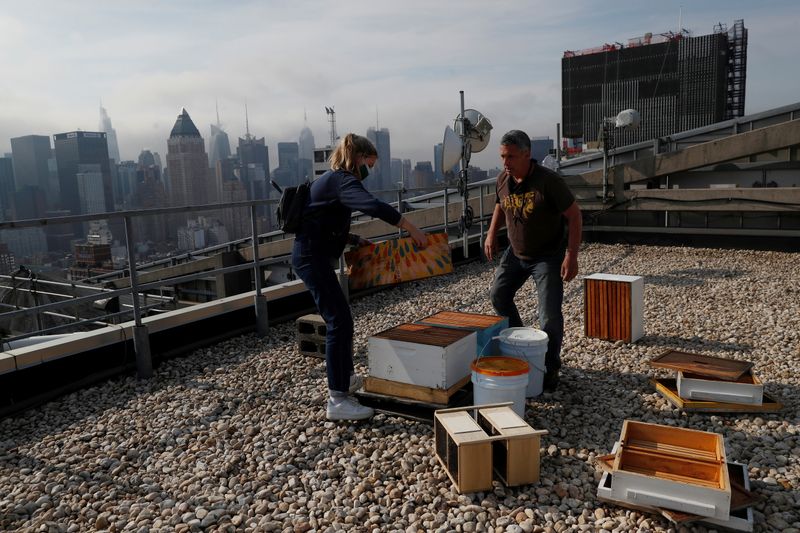 Urban beekeeper Andrew Cote replenishes bee hives on a rooftop
