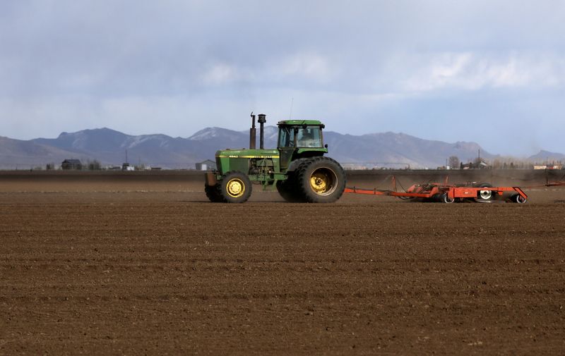 FILE PHOTO: A farmer plows a field with a tractor
