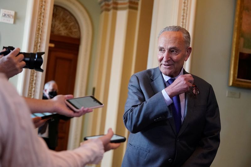 Senate Majority Leader Chuck Schumer (D-NY) speaks to reporters at