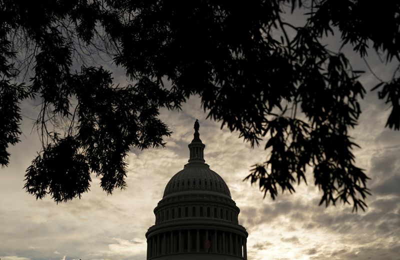 FILE PHOTO: The dome of the U.S. Capitol in Washington