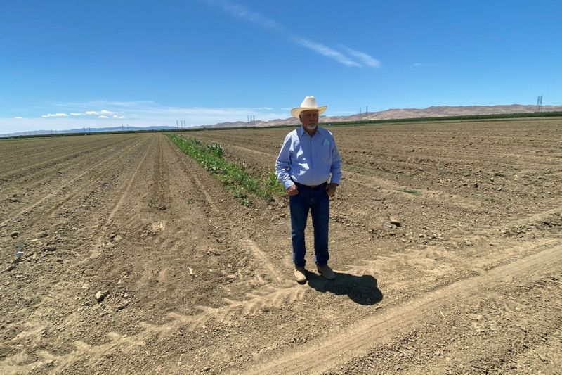 Farmer Del Bosque stands in field in Firebaugh, California
