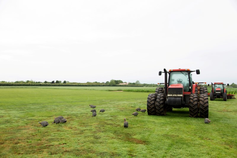 Farming equipment is seen on Foster Farm in Sagaponack