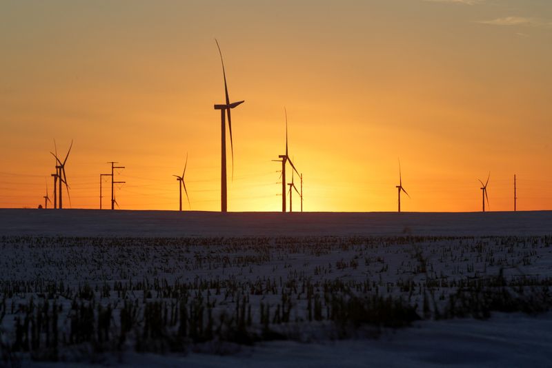 FILE PHOTO: A wind farm shares space with corn fields