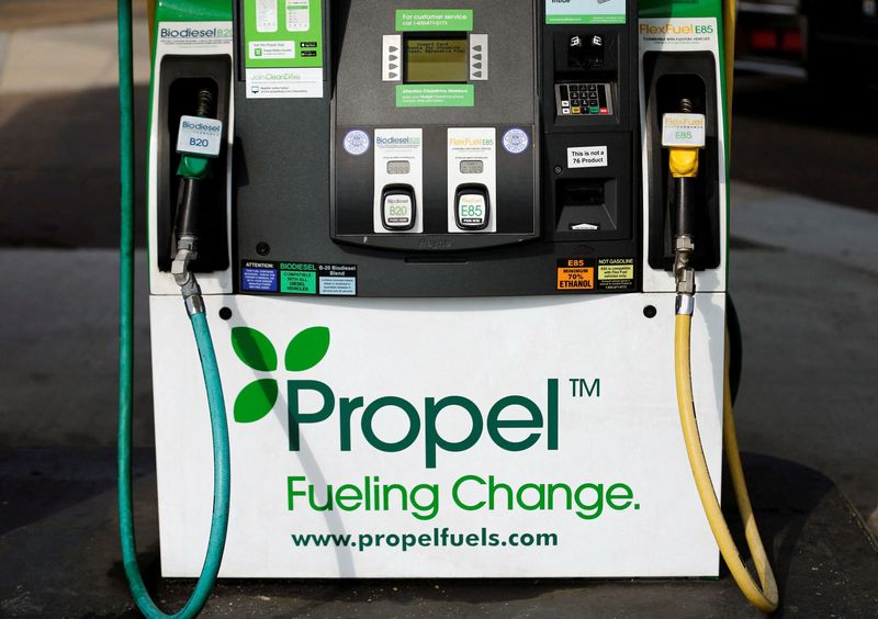 FILE PHOTO: Pump at an alternative fueling station that provides