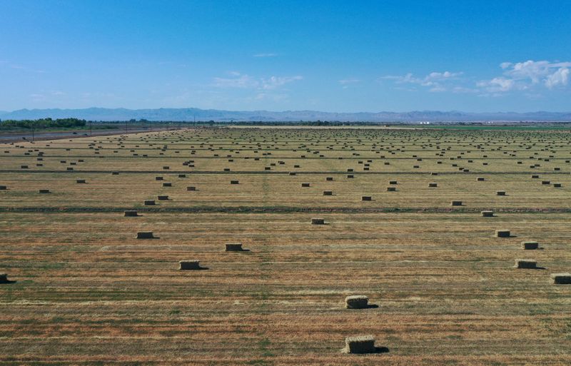 FILE PHOTO: Aerial view shows agricultural fields during 2021 drought