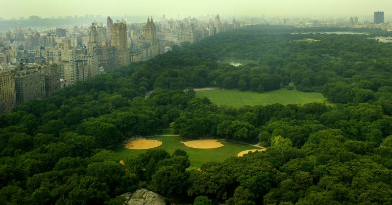 FILE PHOTO: CENTRAL PARK AS SEEN FROM CENTRAL PARK SOUTH