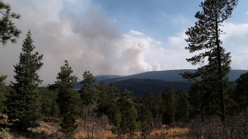 Drought-driven wildfire leaves “moonscape” in New Mexico