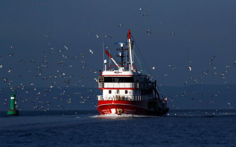 FILE PHOTO: Seagulls fly over a fishing boat on the