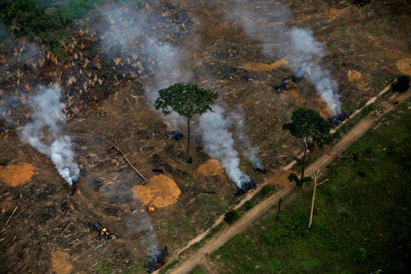 FILE PHOTO: An aerial view shows a deforested plot of