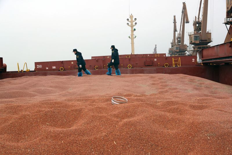 FILE PHOTO:  Customs officers inspect a shipment of sorghum