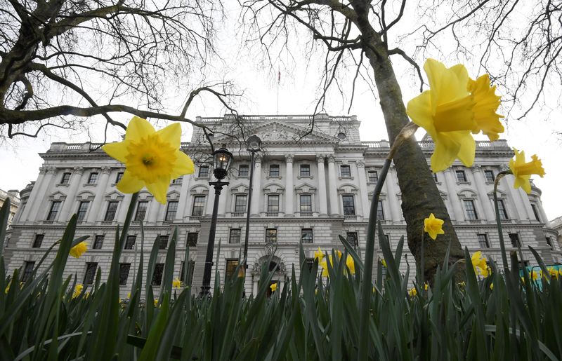 FILE PHOTO: Daffodils are seen flowering near the Treasury building
