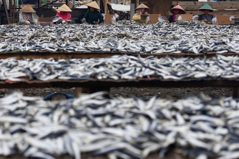 FILE PHOTO: People sort fish during the drying process at
