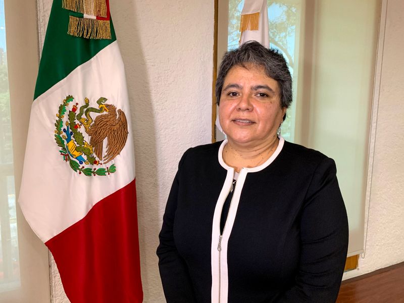 Head of Mexico’s Tax Administration Service (SAT) Raquel Buenrostro poses