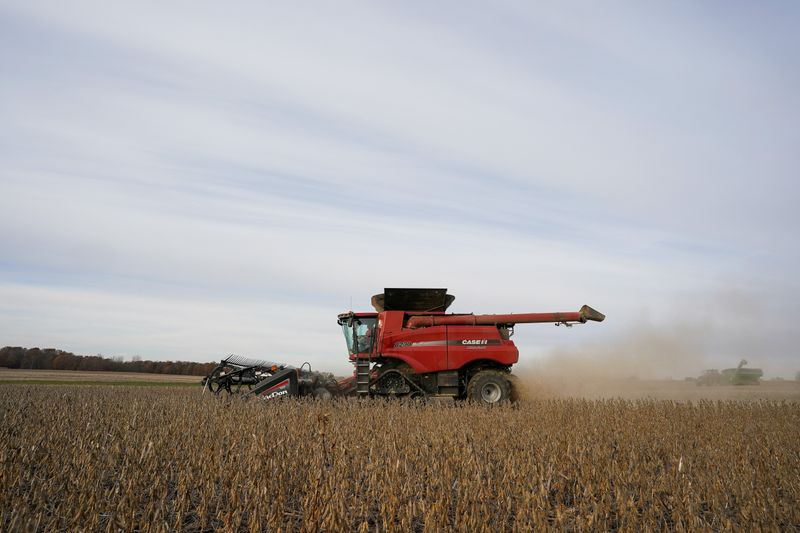 Soybeans are harvested from a field on Hodgen Farm in