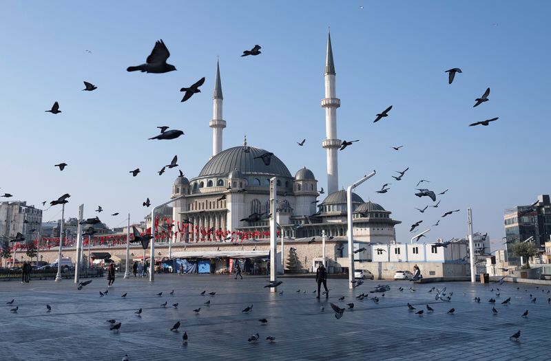 FILE PHOTO: Pigeons fly over the Taksim Square during a