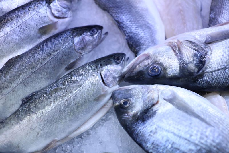 Fresh fish is displayed at the Global Seafood Exposition in