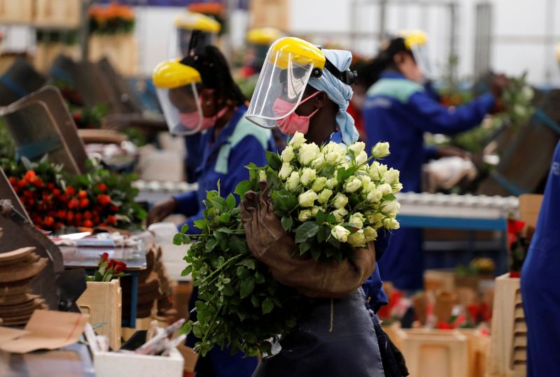 A worker holds roses while wearing protective equipment to help