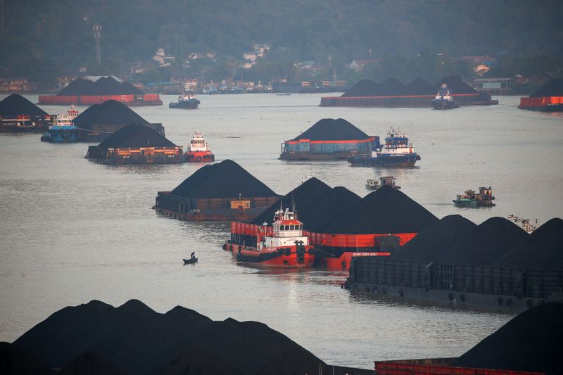 Coal barges are pictured as they queue to be pulled