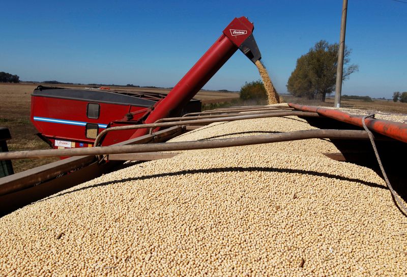 FILE PHOTO: Soybeans are loaded onto a truck at a