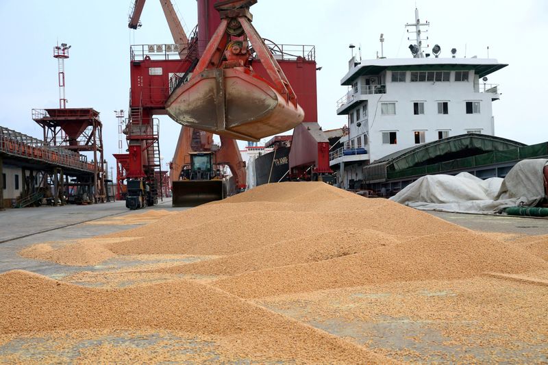 Imported soybeans are transported from a cargo ship at a
