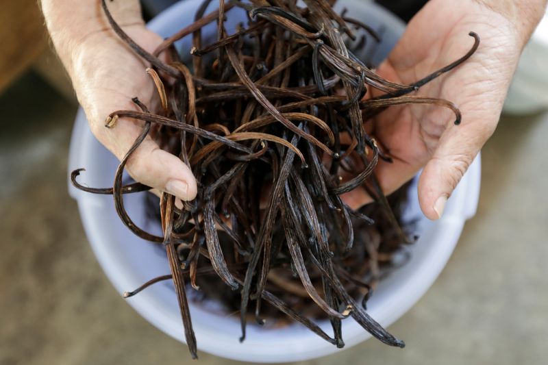 Iton Rifa’i, a 74-year-old vanilla farmer, shows dried vanilla beans