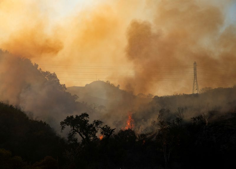 FILE PHOTO: The Bond Fire wildfire burns next to electrical