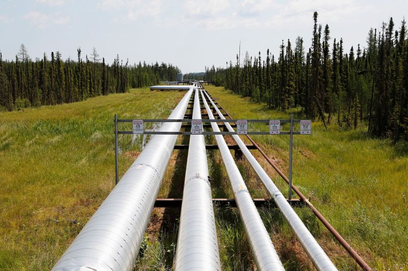 FILE PHOTO: Oil, steam and natural gas pipelines run through