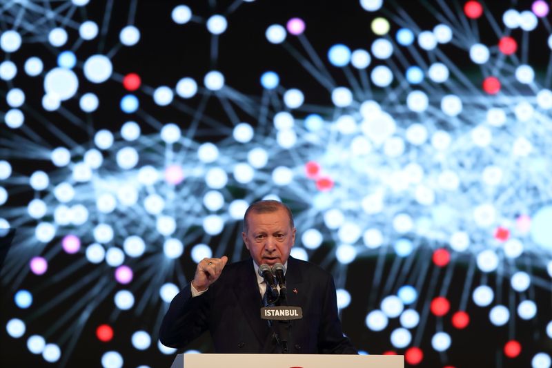 Turkish President Erdogan announces economic reforms in Istanbul