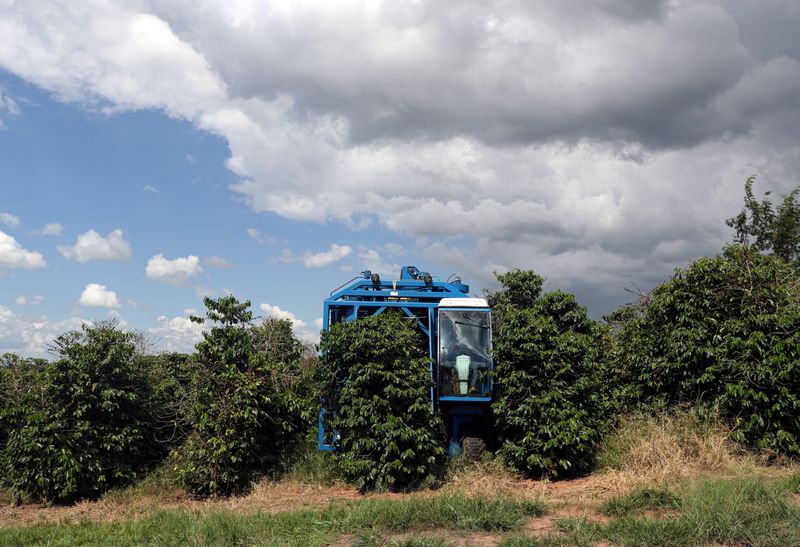 FILE PHOTO: A harvesting machine is seen at a coffee