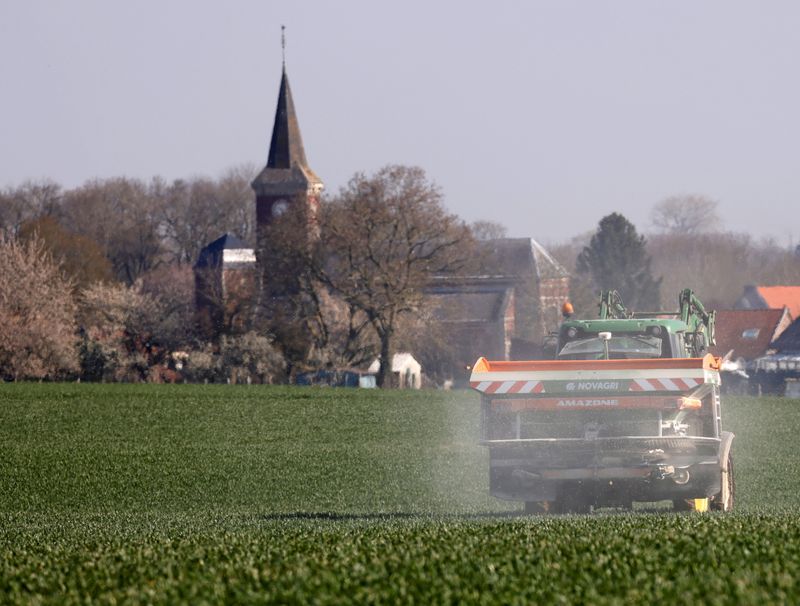 A farmer spreads nitrogen fertilizer in his wheat field in