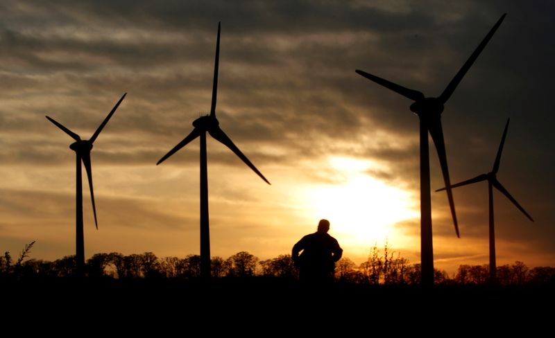 FILE PHOTO: Wind turbines at sunset at the Electric Power
