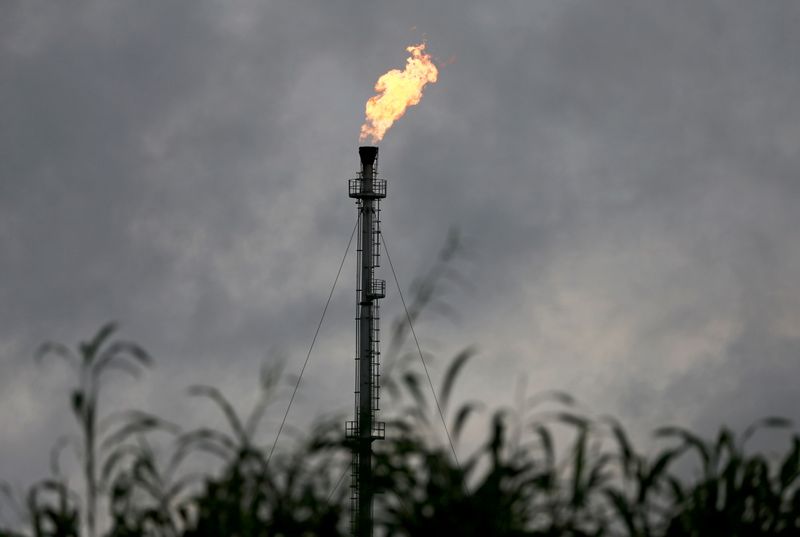 FILE PHOTO: A vertical gas flaring furnace is seen in