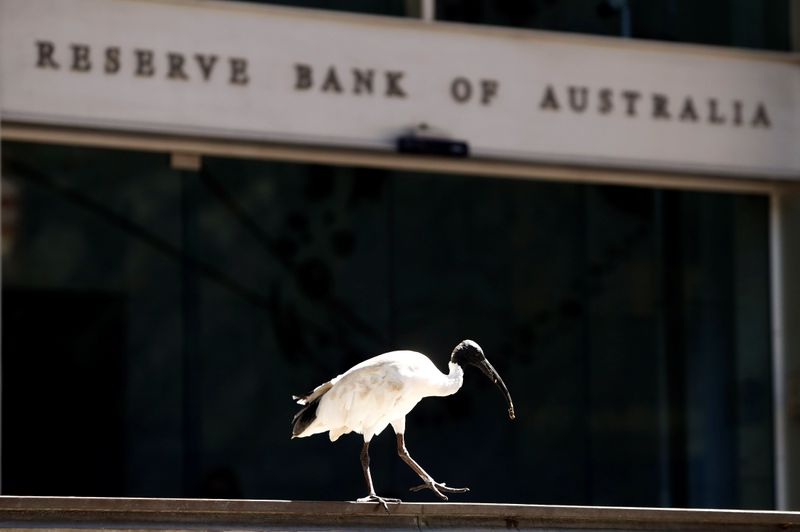 An ibis bird perches next to the Reserve Bank of