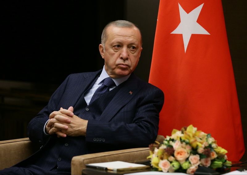 Turkish President Erdogan attends a meeting with Russian President Putin