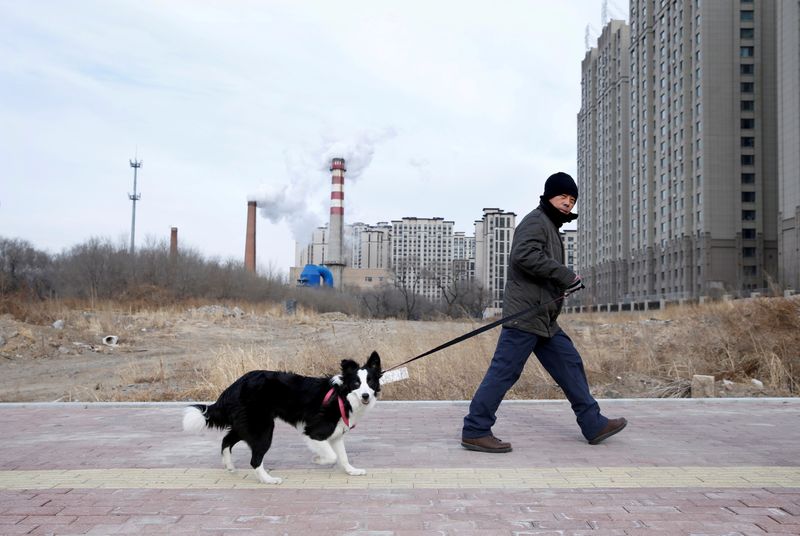 FILE PHOTO: A resident and his dog walk past a