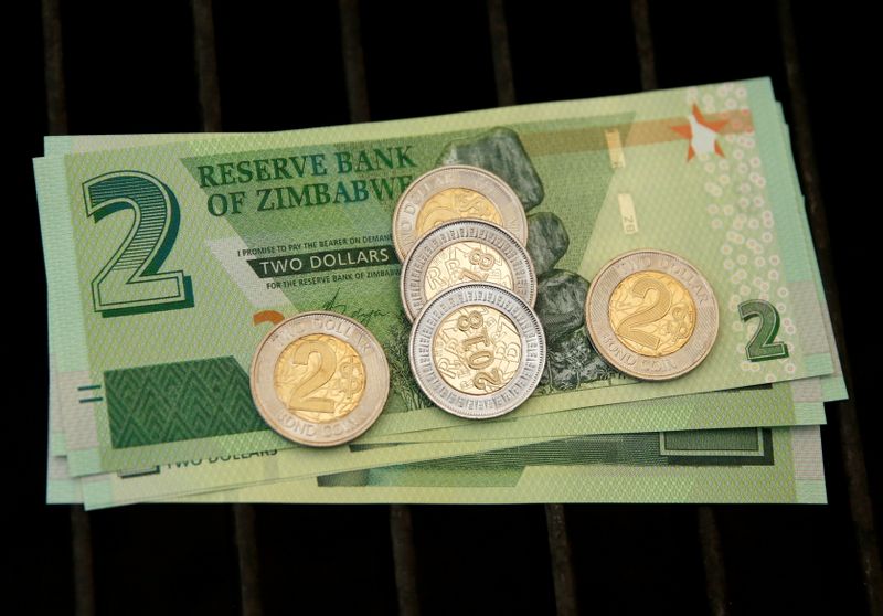 FILE PHOTO: Zimbabwe’s new two dollar banknotes and coins are